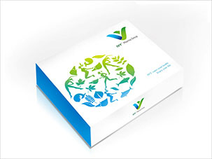 美国IVY医药集团系列保健品包装设计