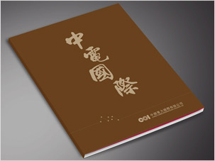 中国电力国际发展有限公司画册设计图片