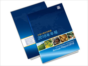 中国小额信贷爱游戏全站年报设计制作案例图片