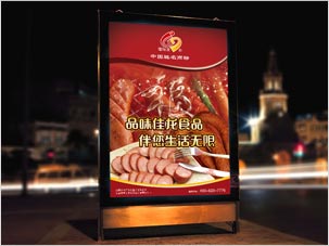长春佳龙食品公司休闲食品海报包装设计