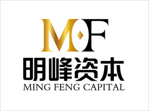金融投资logo设计案例图片