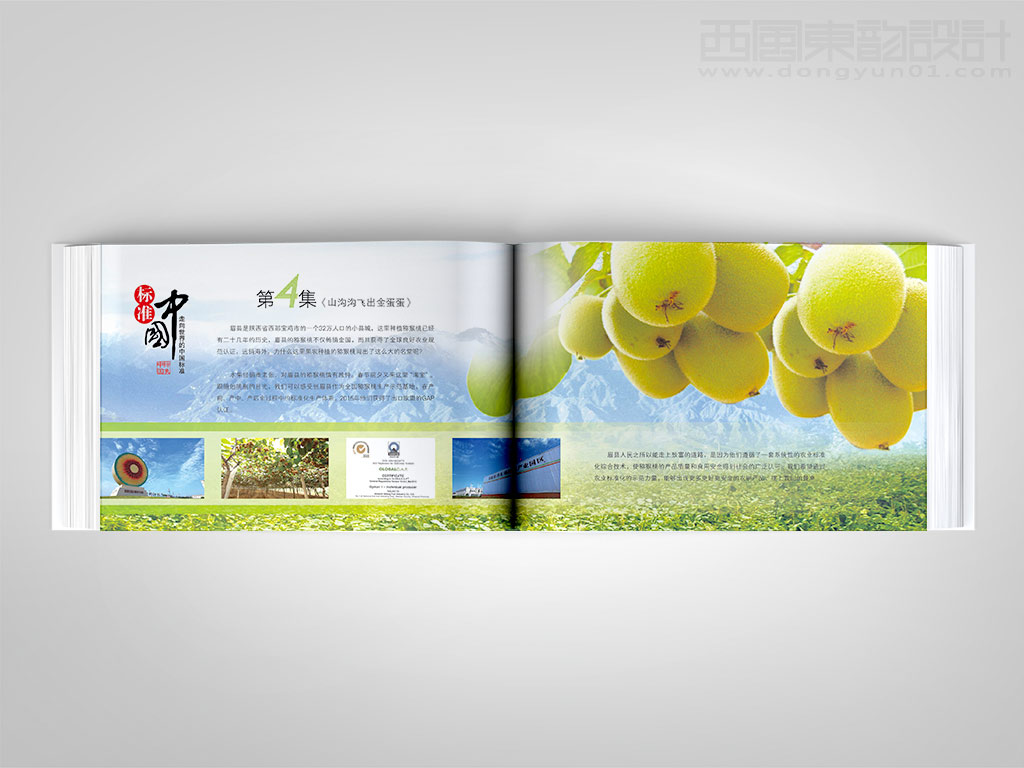 《中国标准化》杂志社标准中国卡册设计之山沟沟飞出金蛋蛋内页设计
