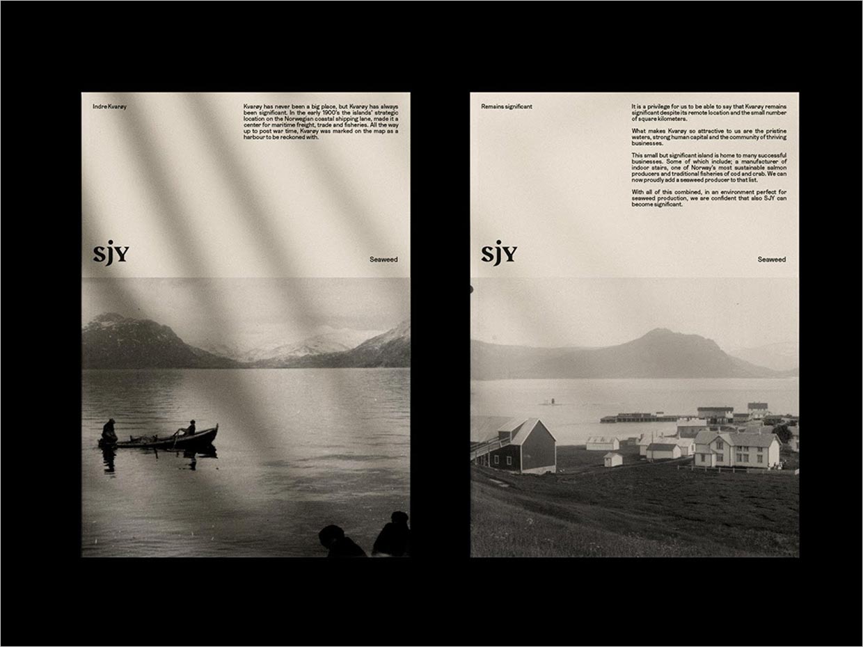 挪威Sjy海藻片素食海鲜休闲食品宣传页设计